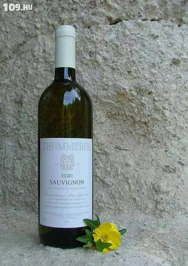 Száraz Fehérbor Egri Sauvignon Blanc 2007 Thummerer