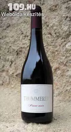 Száraz Vörösbor Tekenőháti Pinot Noir 2009   Thummerer